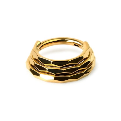 Triple look multi faceted ring in titanium