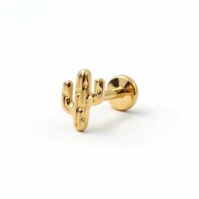 Titano labret su kaktusu