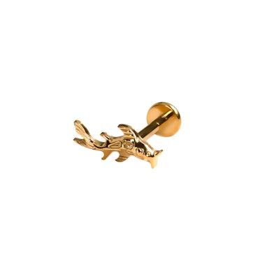 Titano labret su koi žuvimi