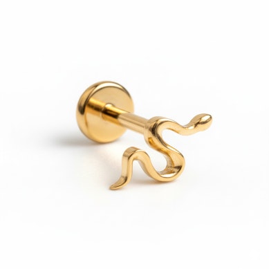 Titano labret su maža gyvatėle