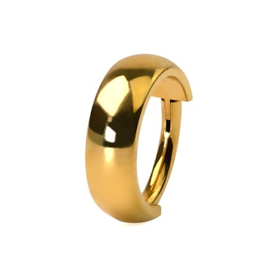 Titanium hinged segment ring with large outward-facing arch