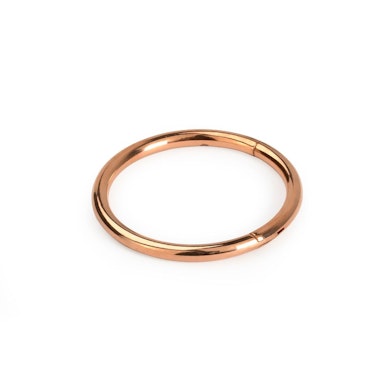 Hinged segment ring in your choice of color.