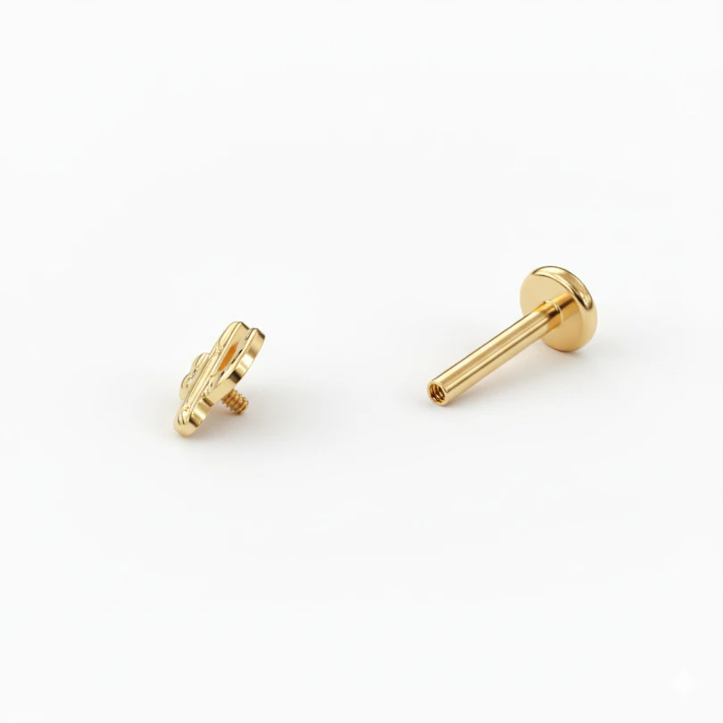 Titano labret su kaktusu