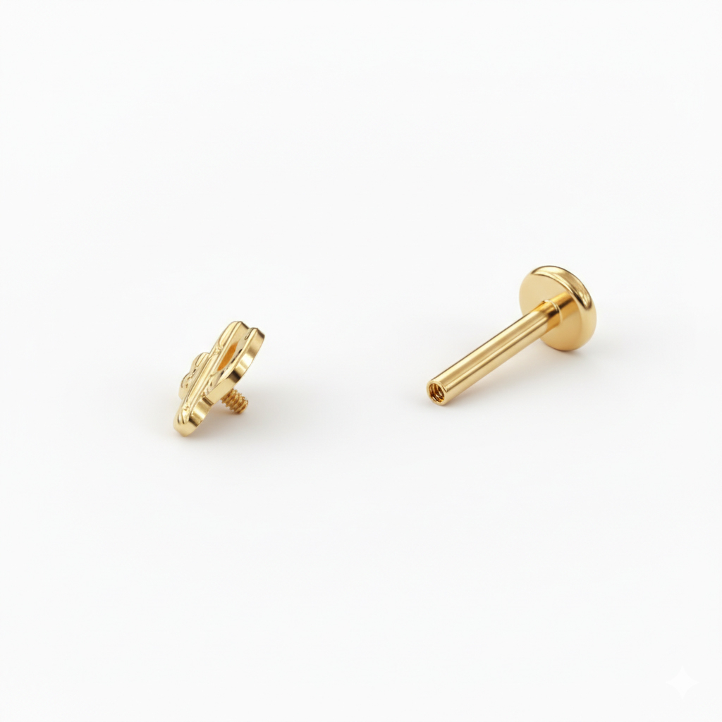 Titano labret su kaktusu