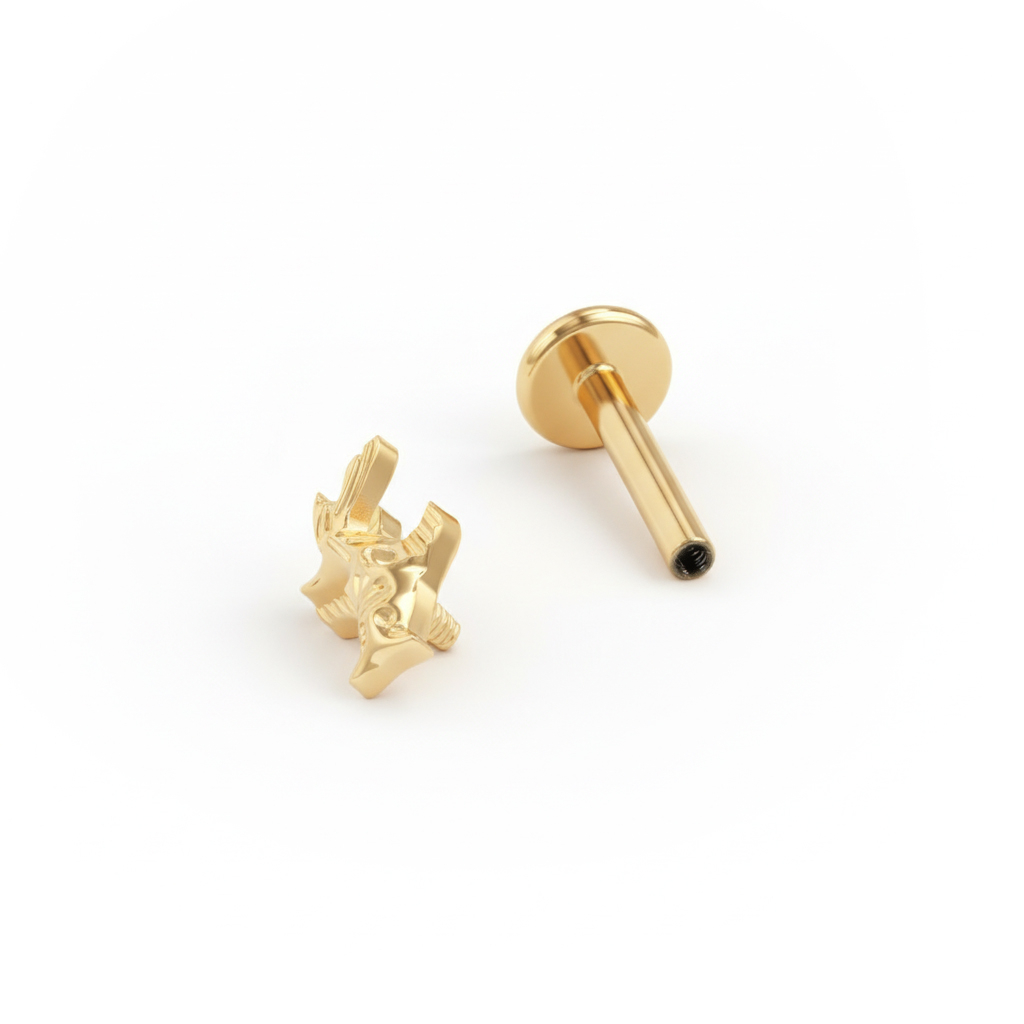 Titano labret su koi žuvimi