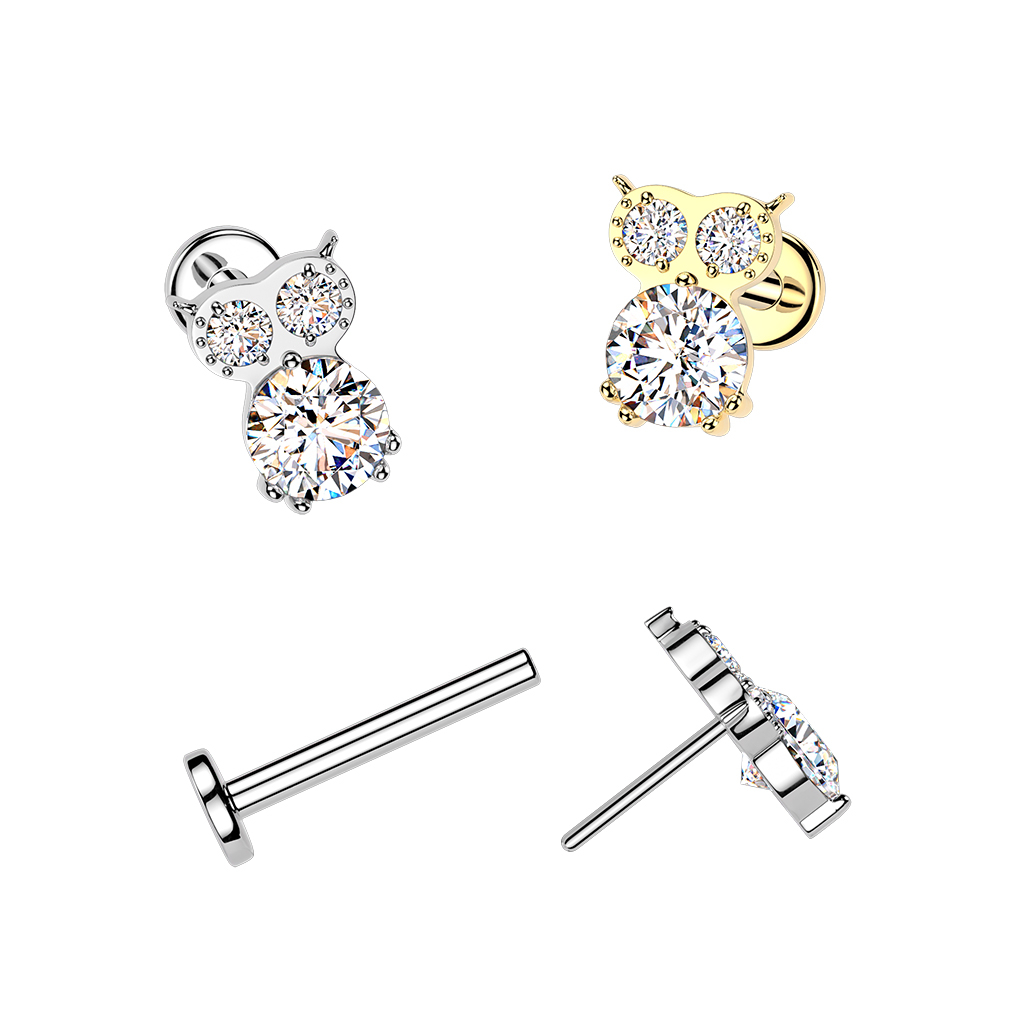 Titano labret su pelėda iš akmenukų