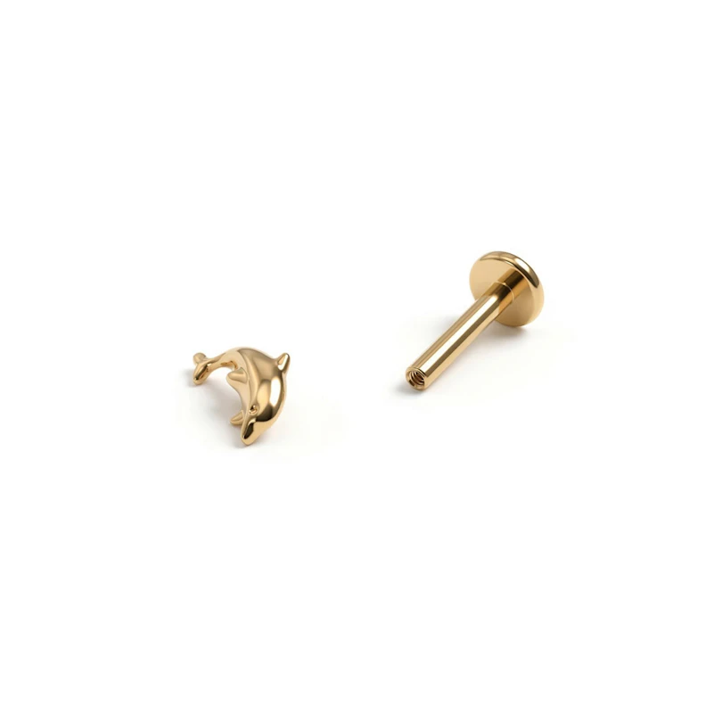 Titano labret su delfinu