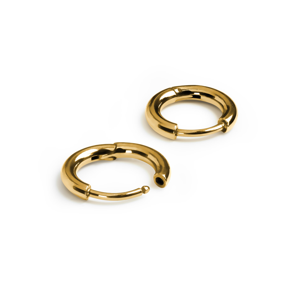 Titano žiedinių huggy auskarų pora