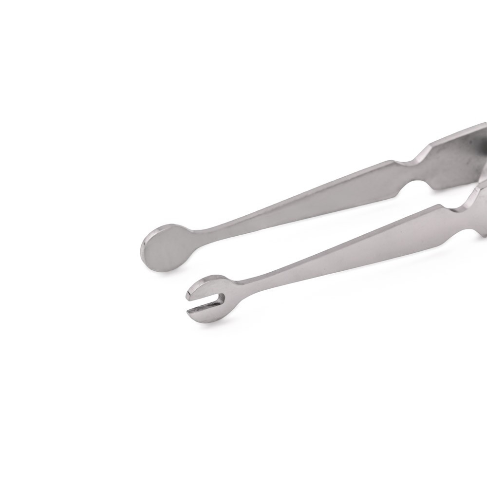 Replės labret auskarams