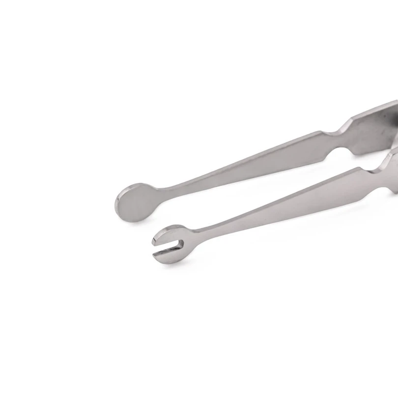 Replės labret auskarams